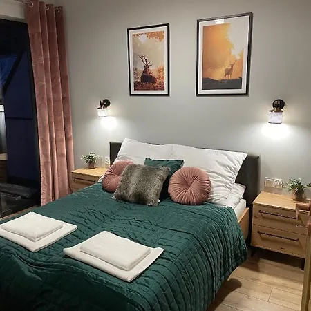 Silence Karpatia Aleksandryt Apartmán