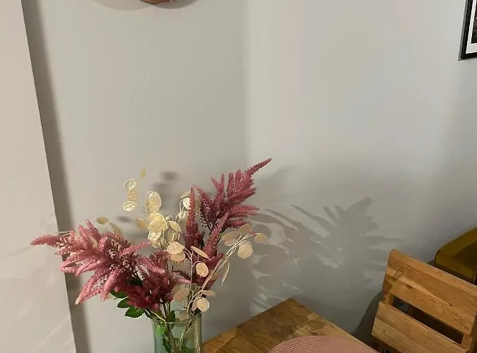 Apartament Silence Karpatia Aleksandryt